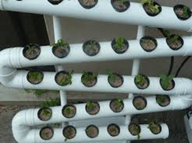 Hydroponic Designs | Advantages of Hydroponic Systems ...