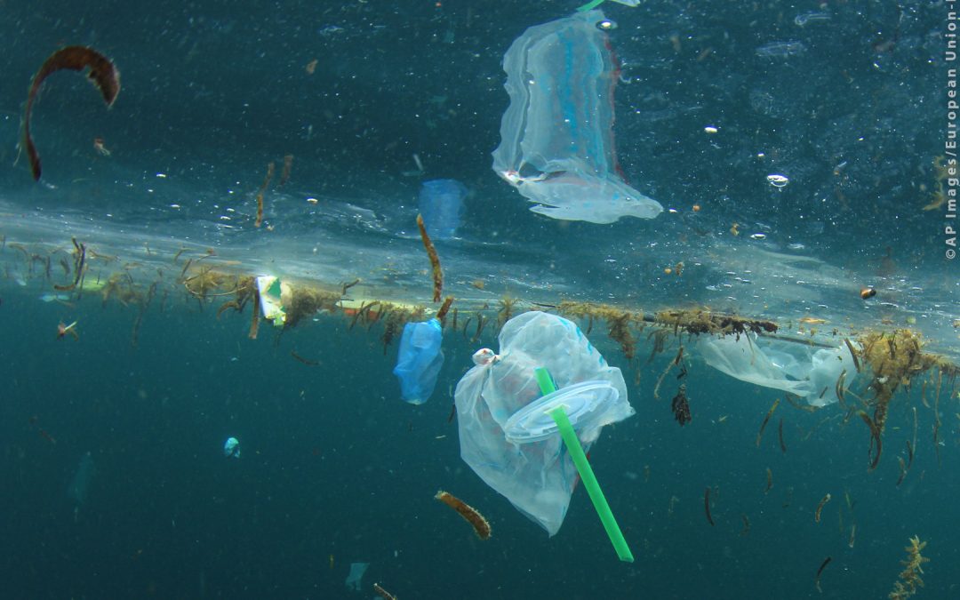 Ocean pollution, Plastic straws, carrier bags, pollution in ocean